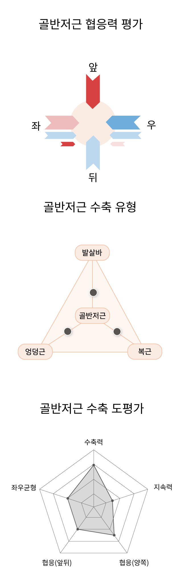 골반저근 평가 데이터